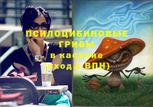марки lsd Козельск